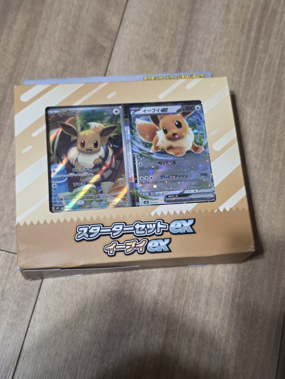 Pokemon Deck Evee Green and Orange Starter Card